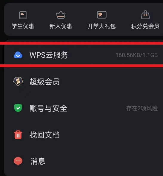 WPS 高效办公总结